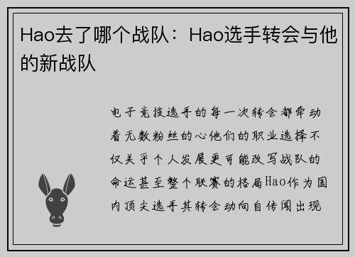 Hao去了哪个战队：Hao选手转会与他的新战队